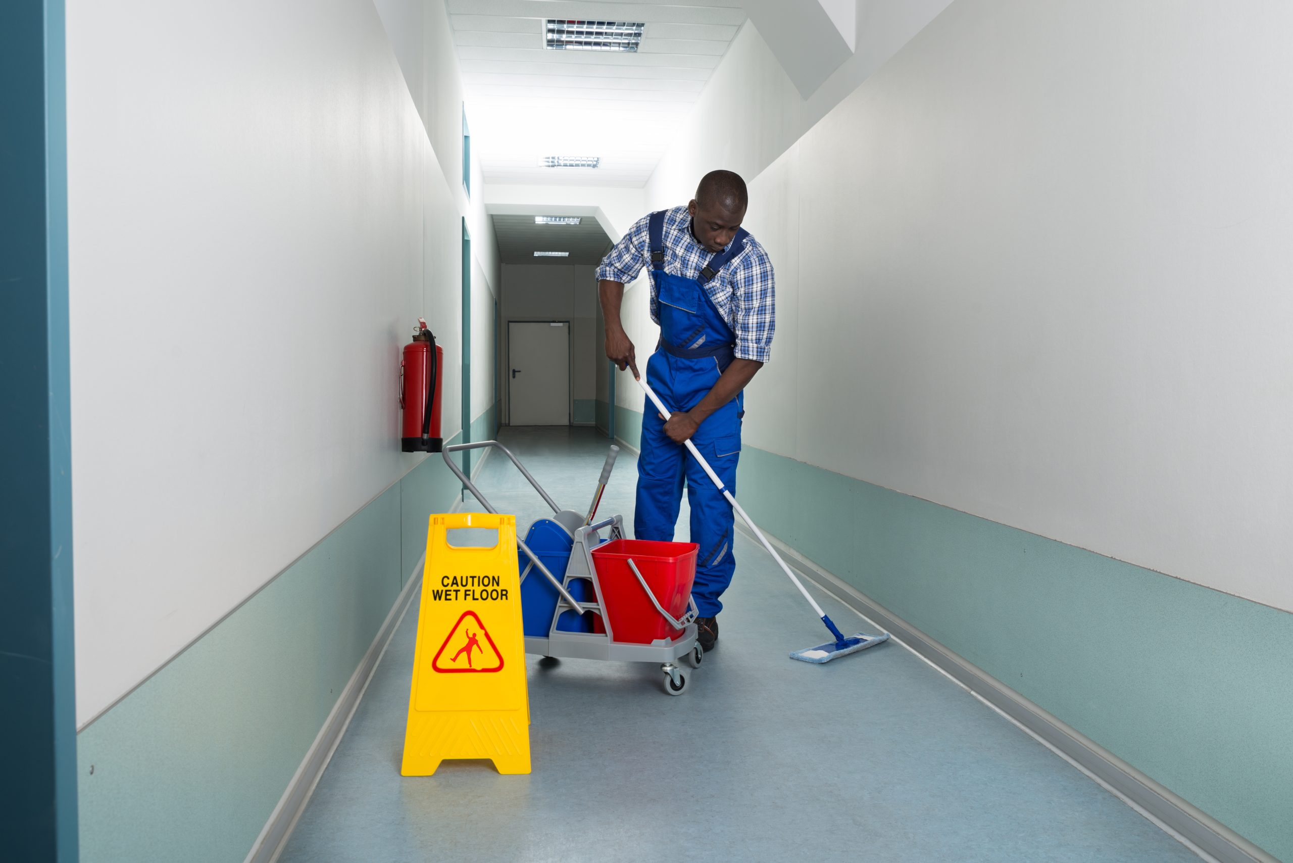 Hire Cleaners