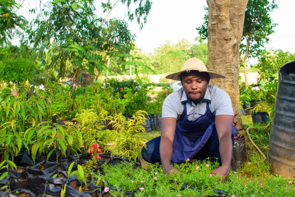 hiring-gardeners-from-uganda-in-australia-explorer-dubai-australia