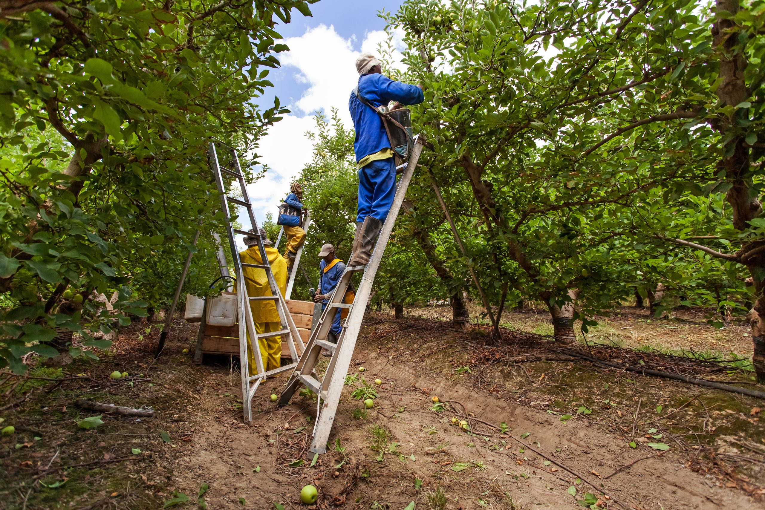 Hiring Seasonal Farm Workers