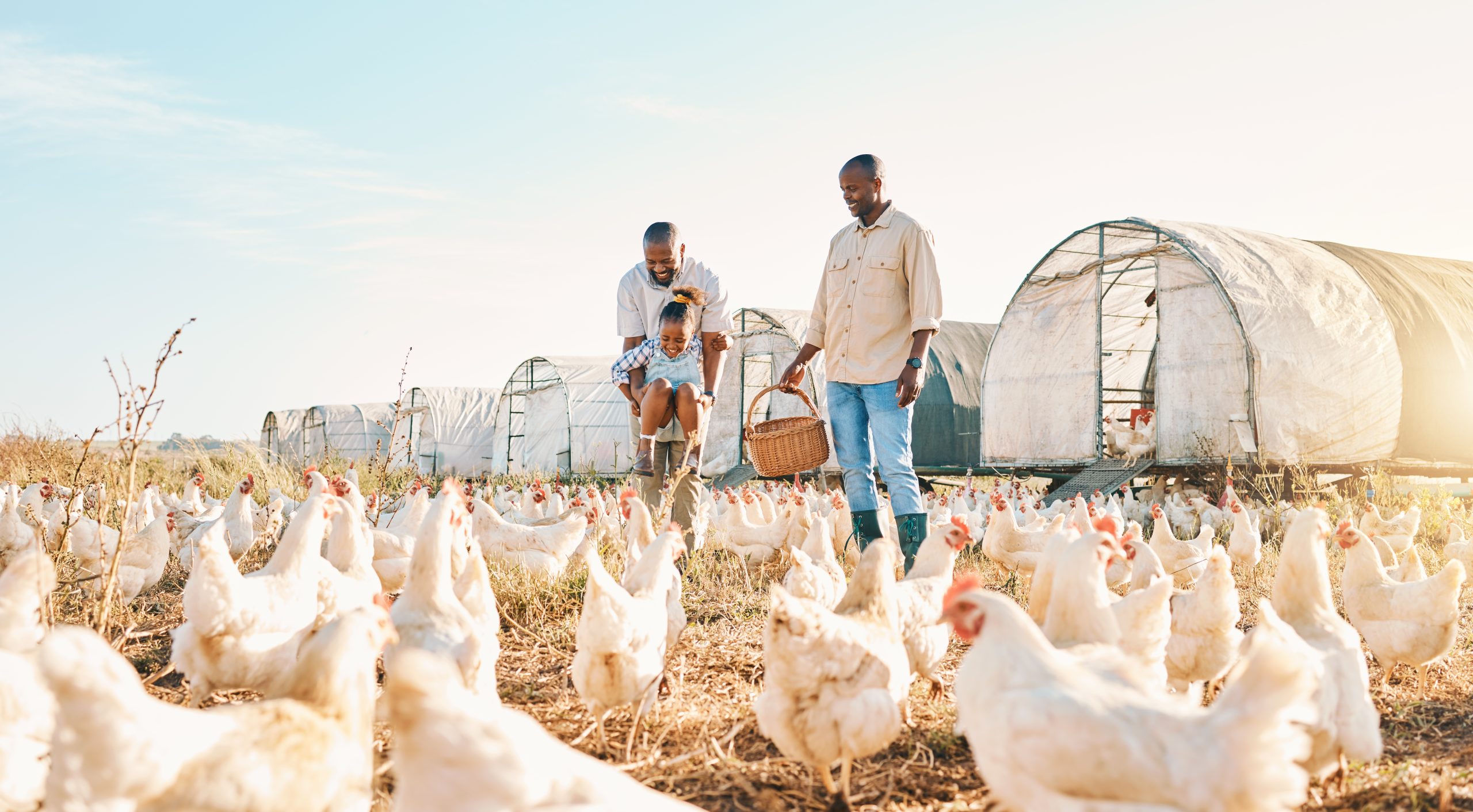 Hire Poultry Farm Workers