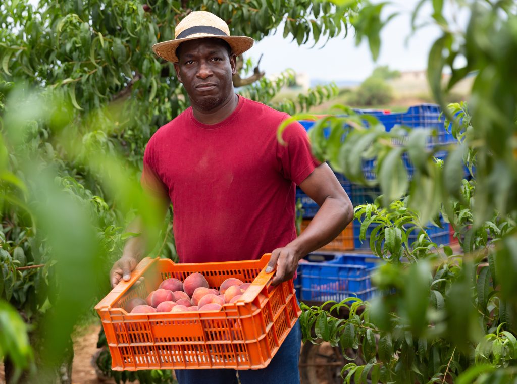 Hiring Seasonal Workers From Uganda