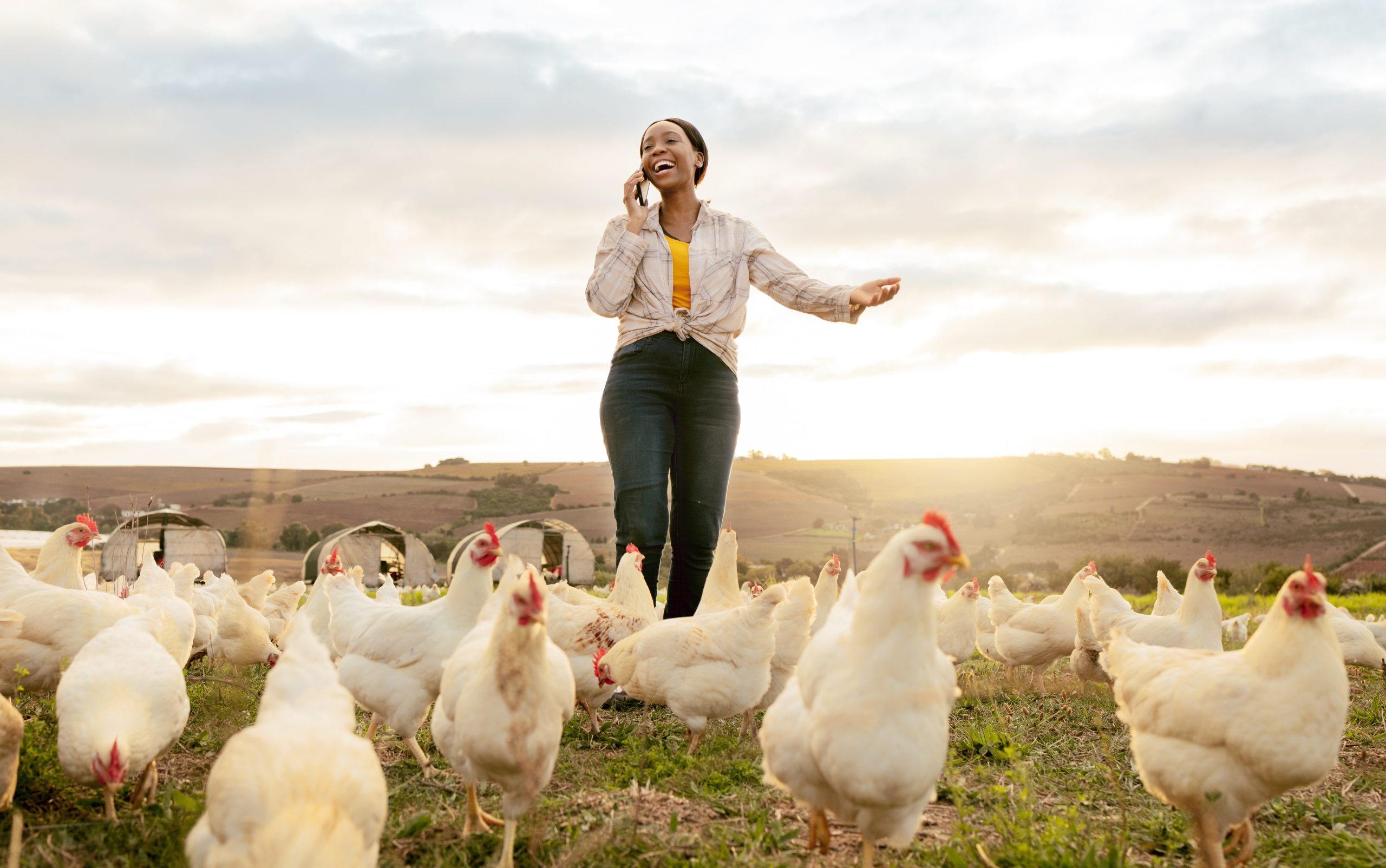 Ugandan Poultry Farm Workers