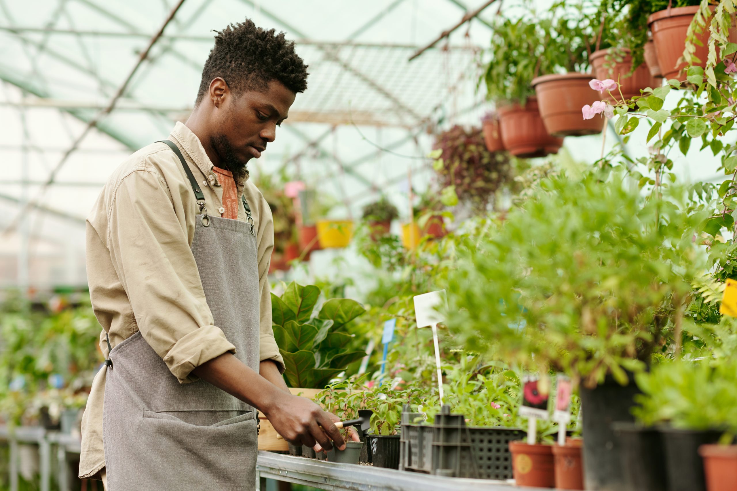 Hire gardeners