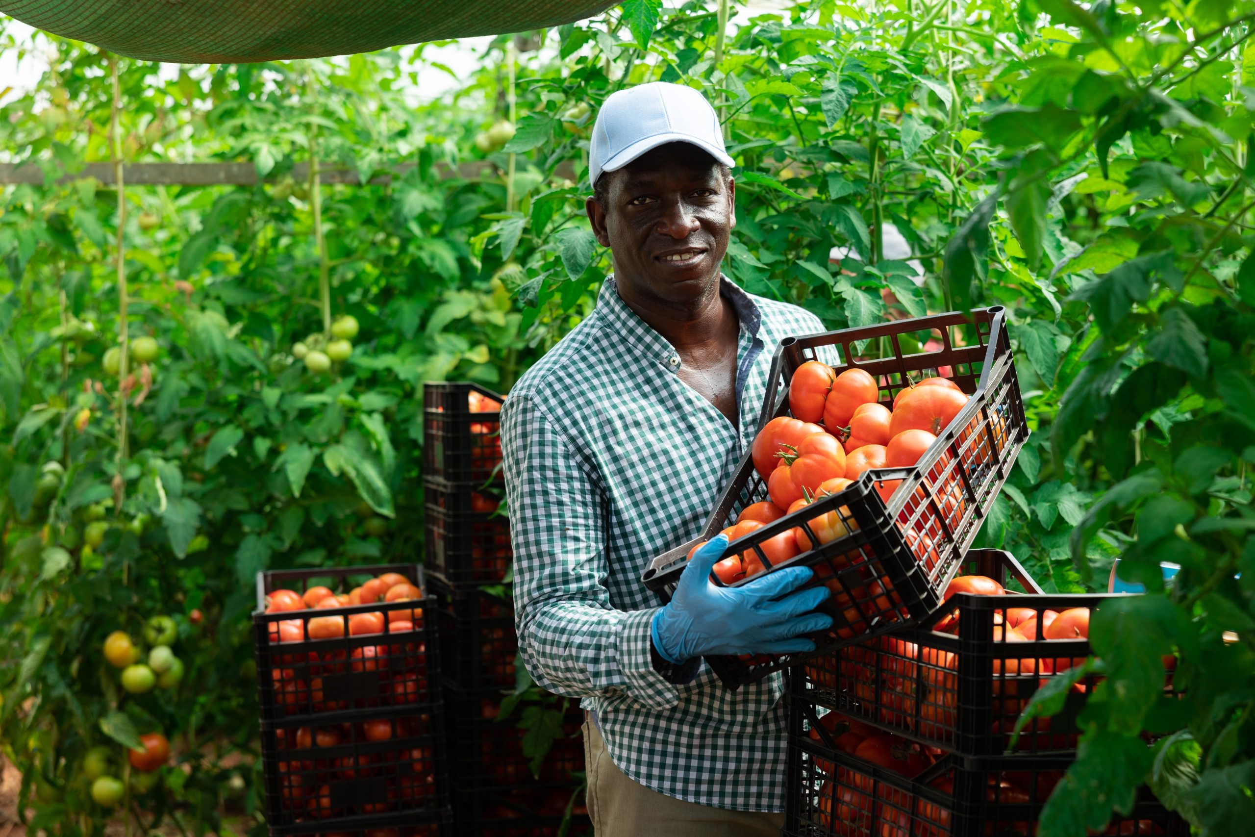 Hire Seasonal Farm workers