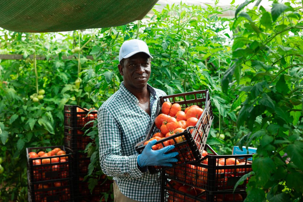 Hiring Seasonal Farm Workers from Uganda