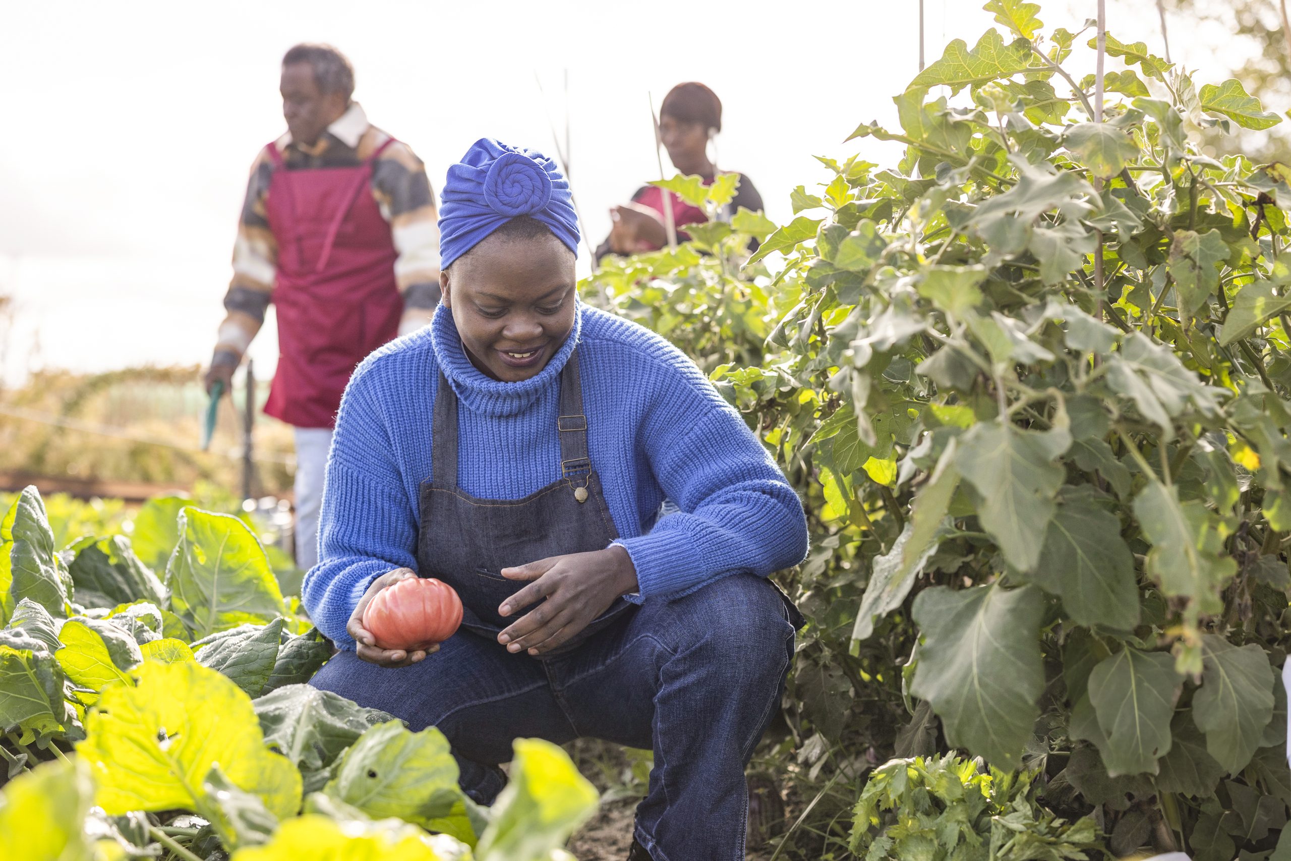 Hire General Farm Workers