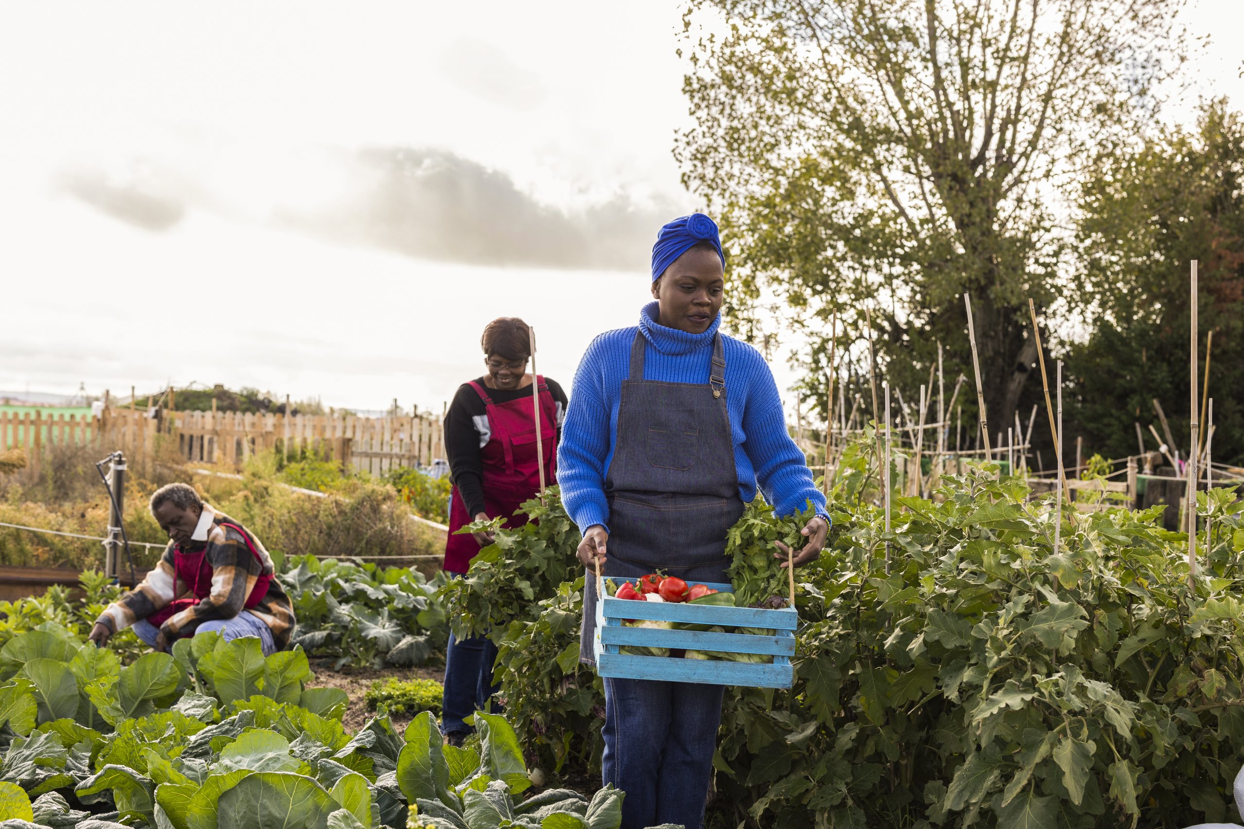 Hiring Seasonal Farm Workers