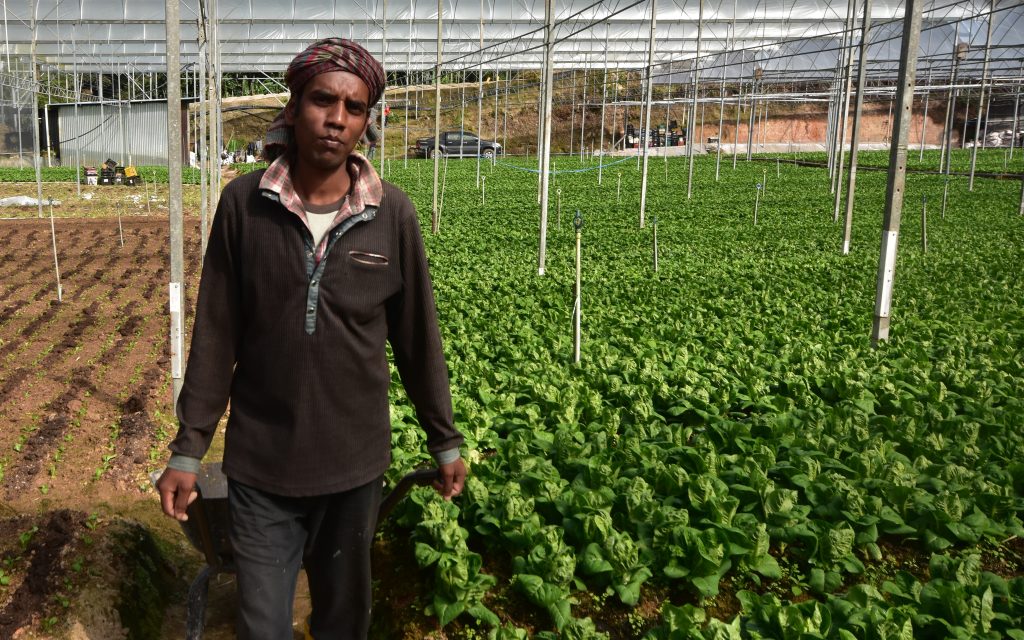 Why You’ll Need To Hire Ugandan General Farm Workers the Best Option for Poland