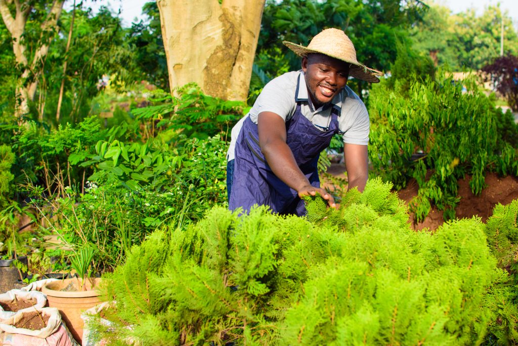 Advantages Of Hiring Ugandan Gardeners In Qatar