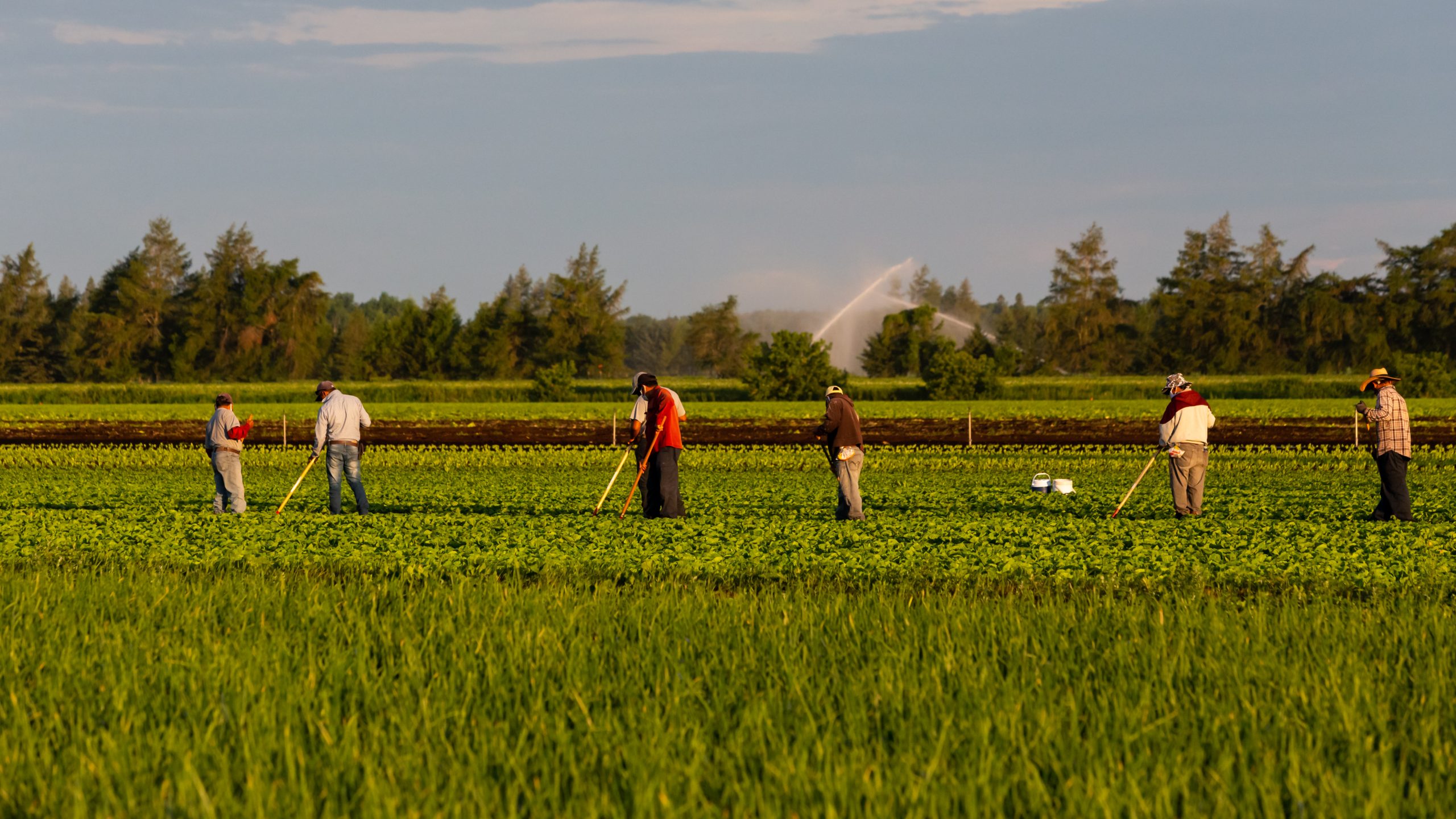 Hire Seasonal Farm Workers. Seasonal Farm Workers