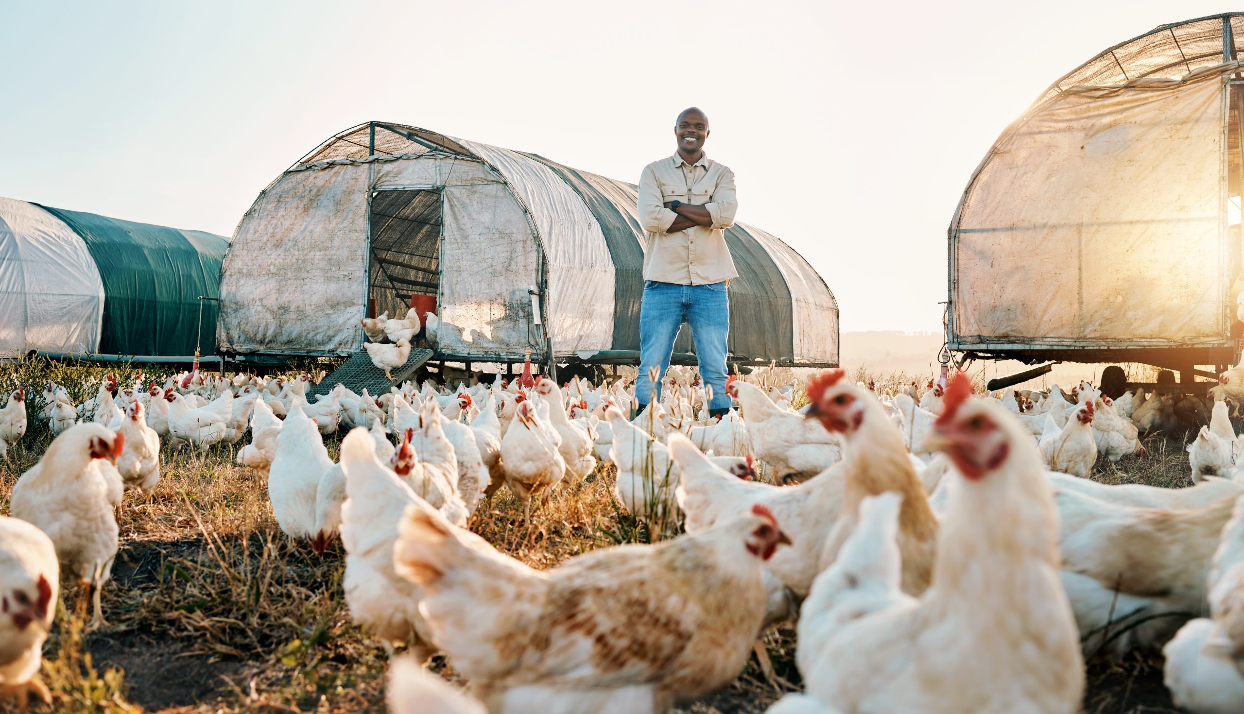 Hire Poultry Farm-workers