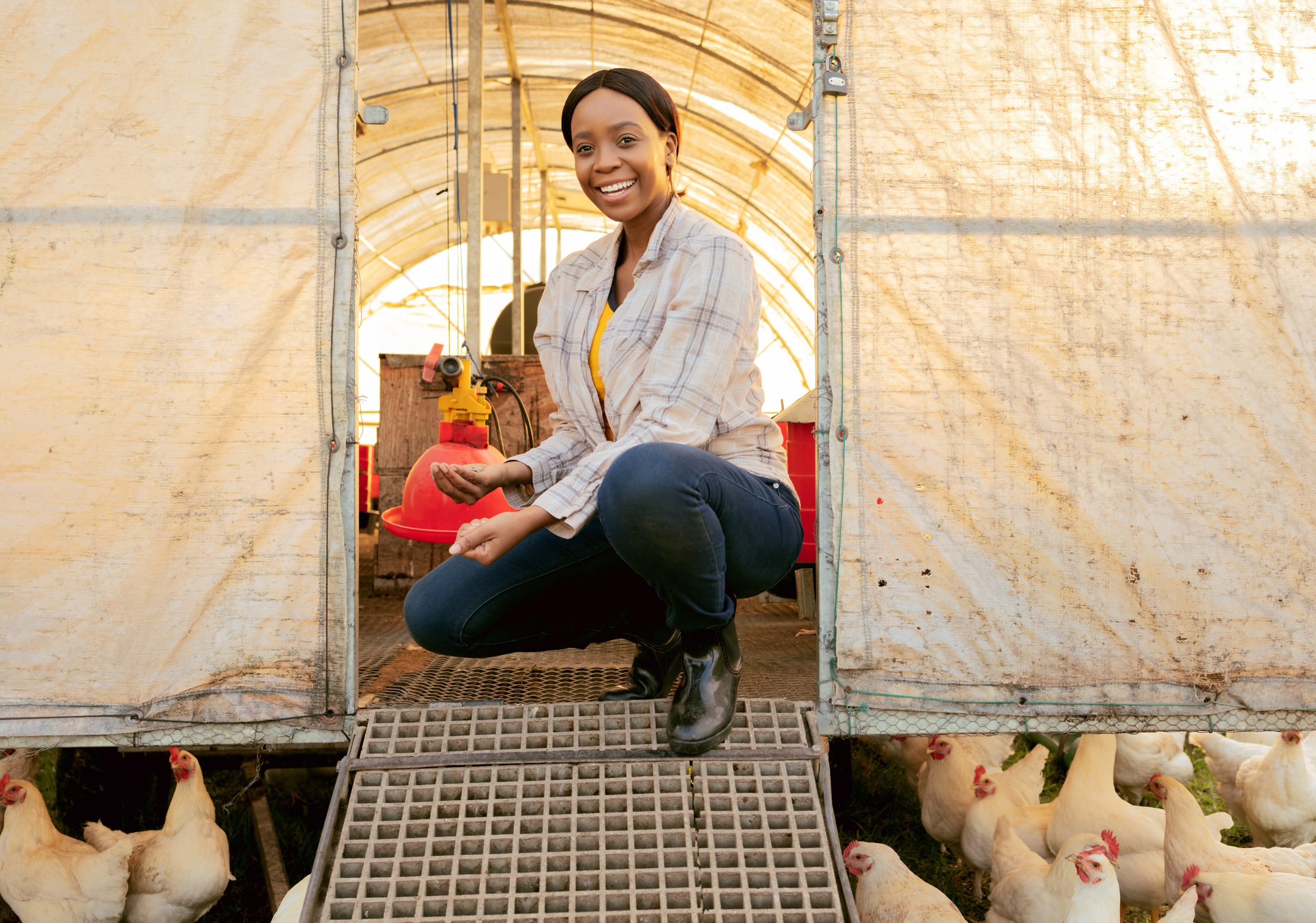 Hire Poultry Farm-workers