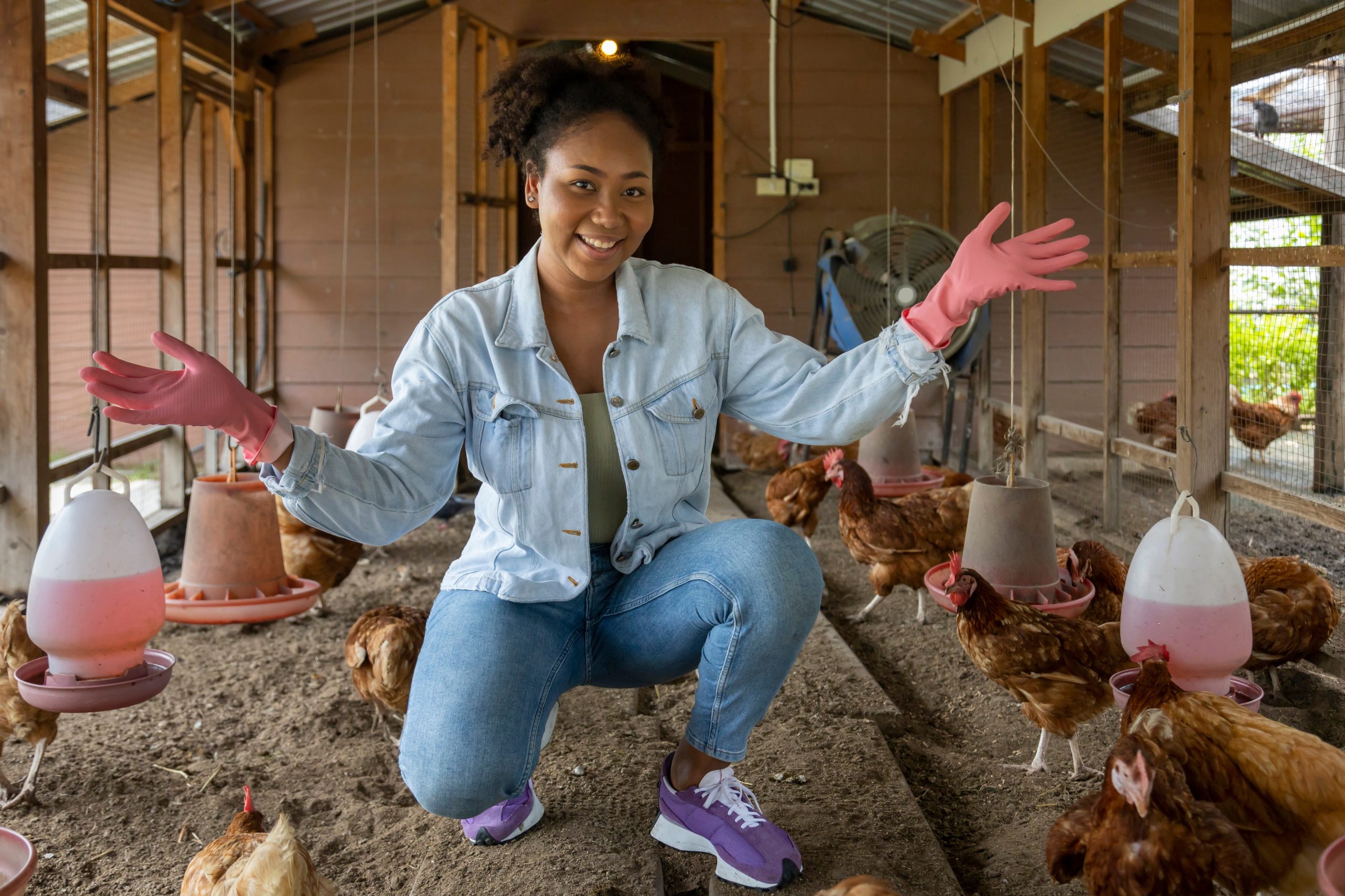 Hire Poultry Farm-workers