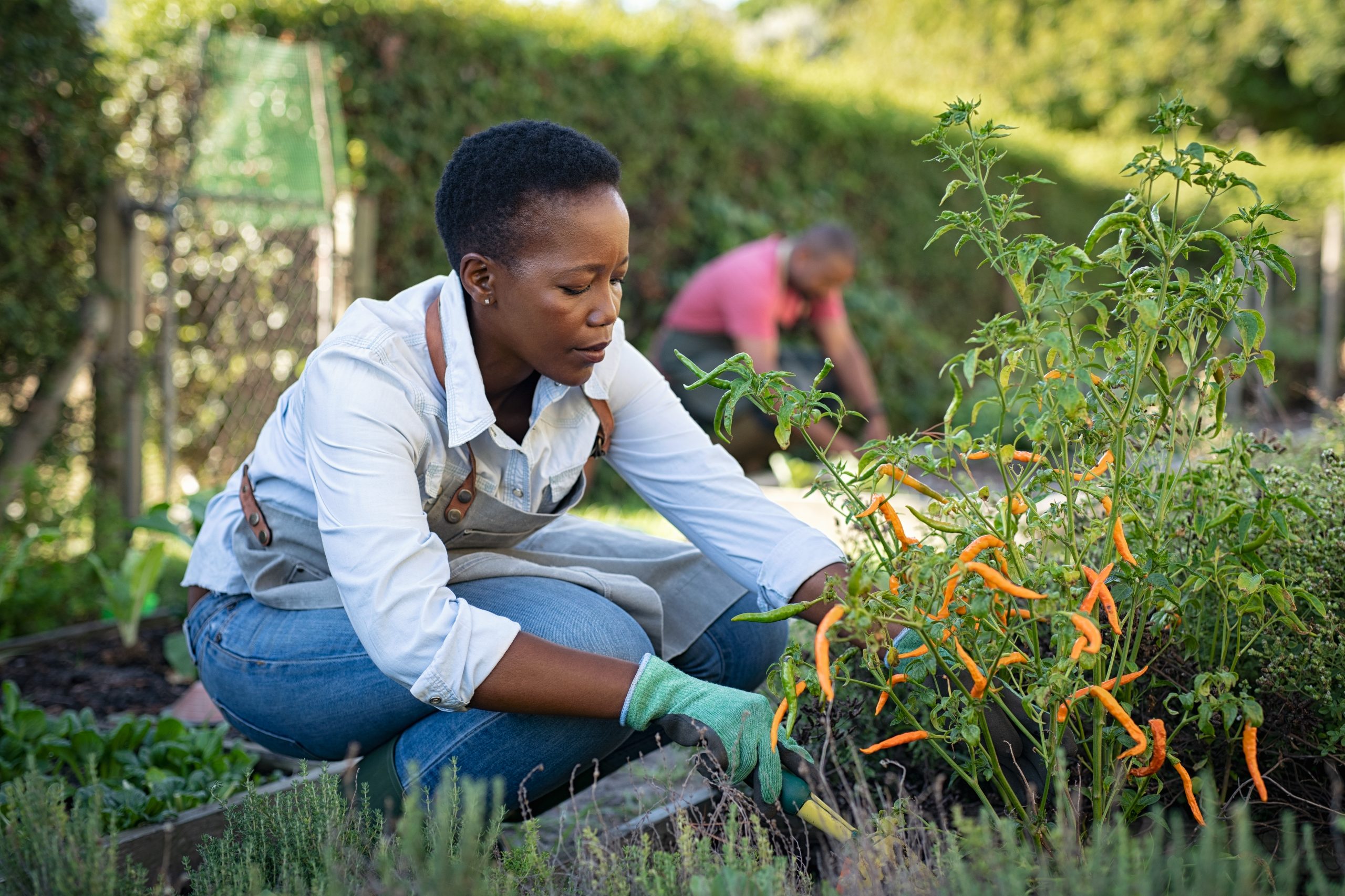 gardeners jobs abroad for Ugandans